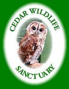 Cedar Wildlife Sanctuary