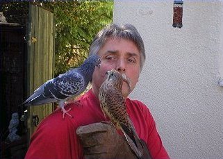 Squeaky the pigeon meets another Safewings resident