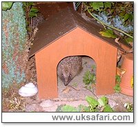 Photo © Copyright 2005 Rosa Foulger