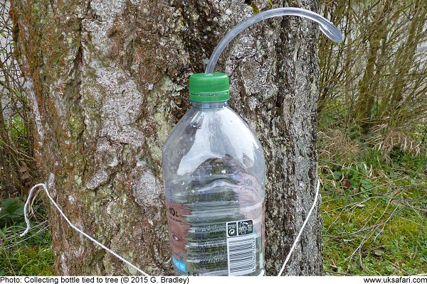 Strap on your bottle